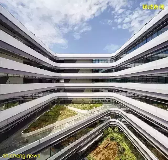 新加坡的這些高顔值的學校,你想來嗎