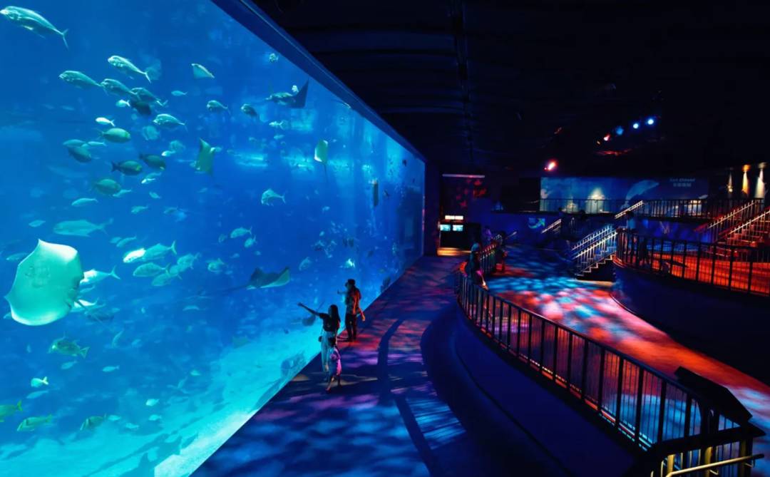 新加坡 Recess Week 最佳旅遊攻略