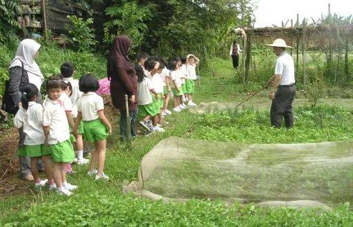 種水稻，摘蘑菇，新鮮蘆荟飲品！藏在新加坡的7大蔬菜農場我找到啦
