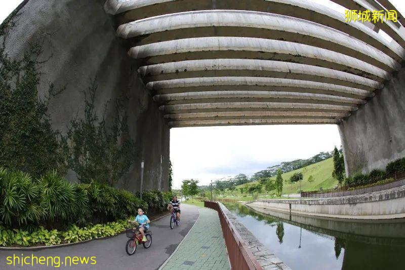 騎行必看！新加坡全島自行車租賃指南，低至$5/天