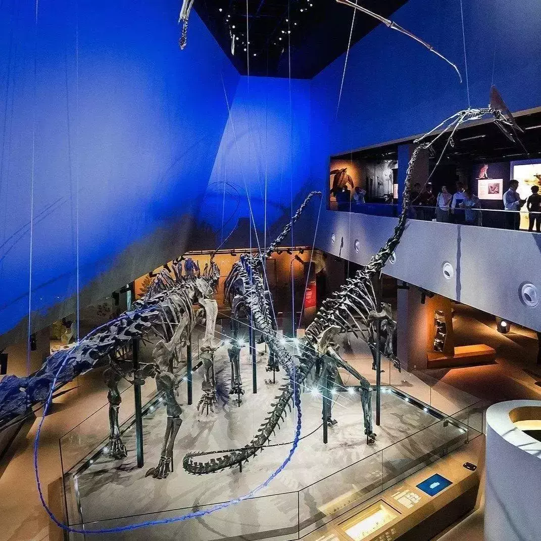新加坡27個值得打卡的博物館!巨型恐龍雕塑、幻彩光影世界、無限供應冰淇淋等你來體驗