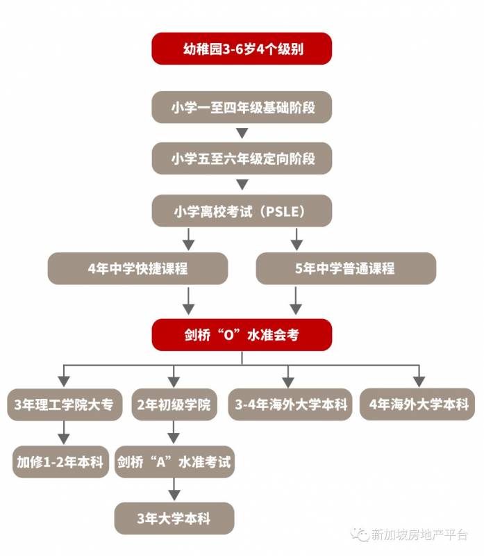 新加坡教育体系介绍