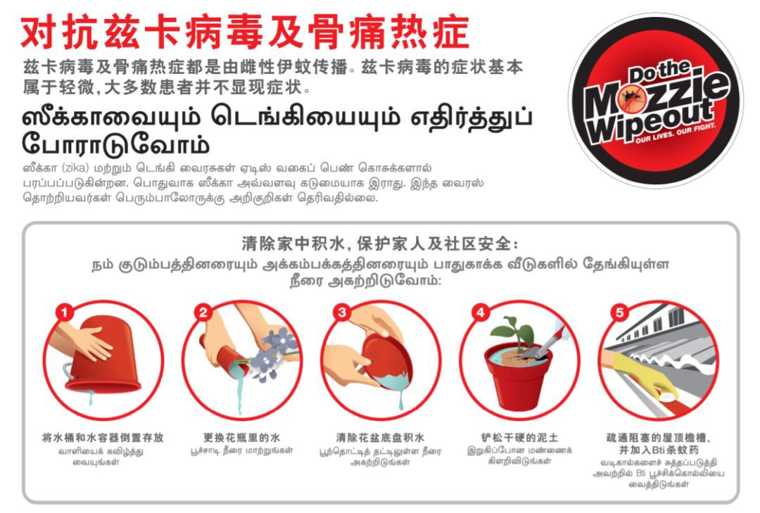 又两人因骨痛热症死亡！6000感染者比去年暴增一倍