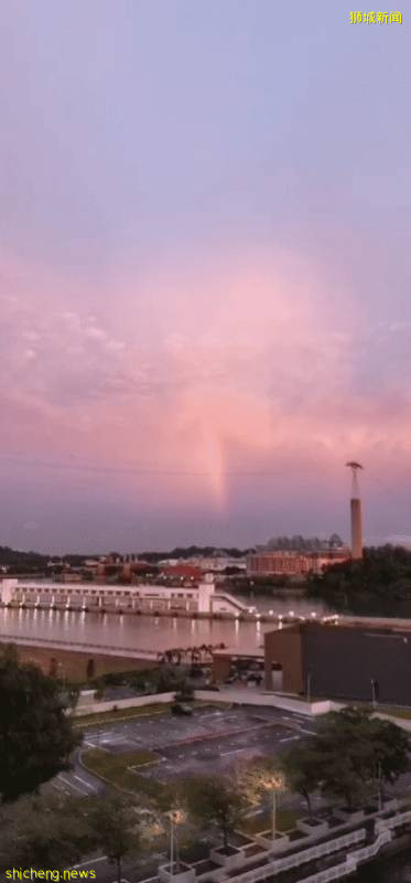 這樣的新加坡真是待不下！去！了