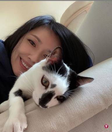 冠病遇上恐袭 法国再次封国 欧菁仙外出买面包都要准证