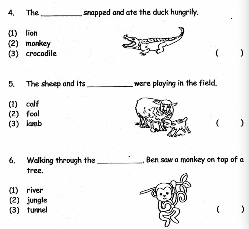 新加坡的小学生原来这么难?深扒小学试卷有多烧脑