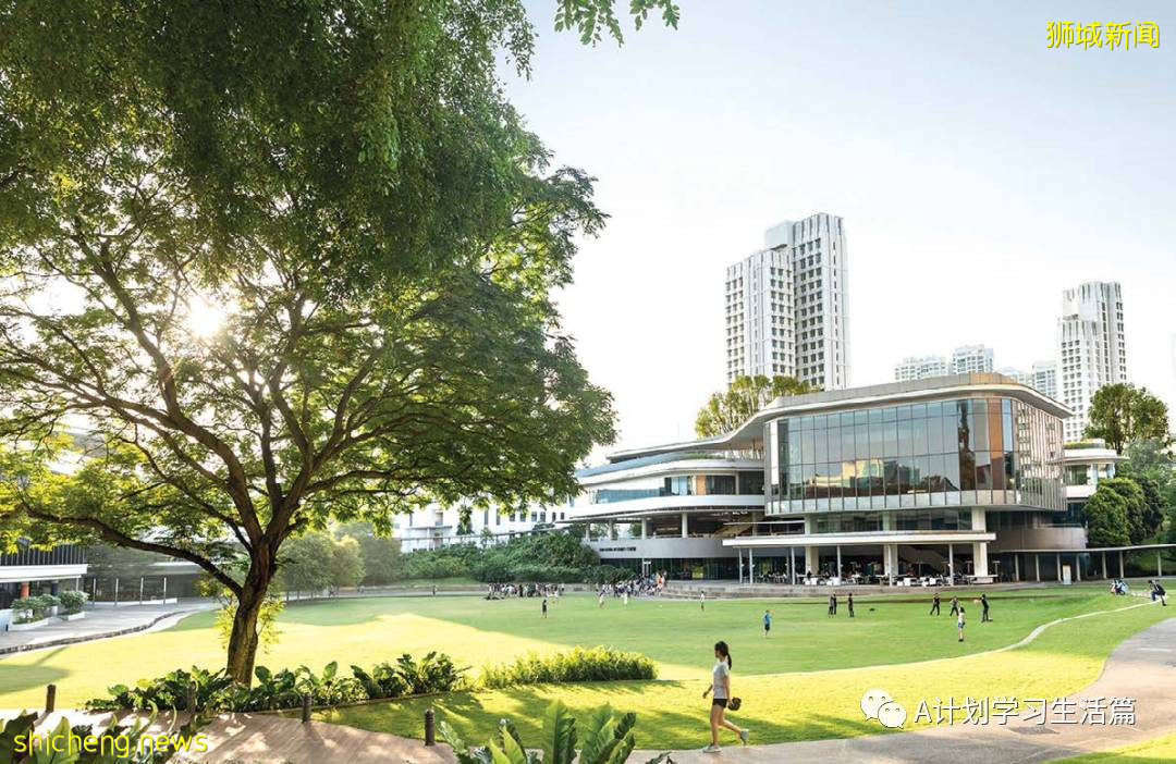 新加坡各类学校学费汇总(AY2020/21)