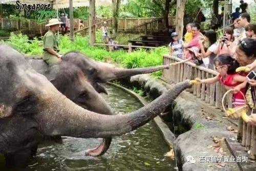 新加坡“親子娛樂”好去處盤點(1)