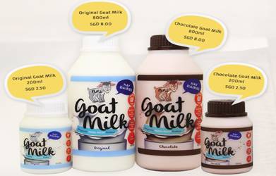 擠羊奶、餵山羊、看打架！我和孩子在新加坡找到了800多只山羊