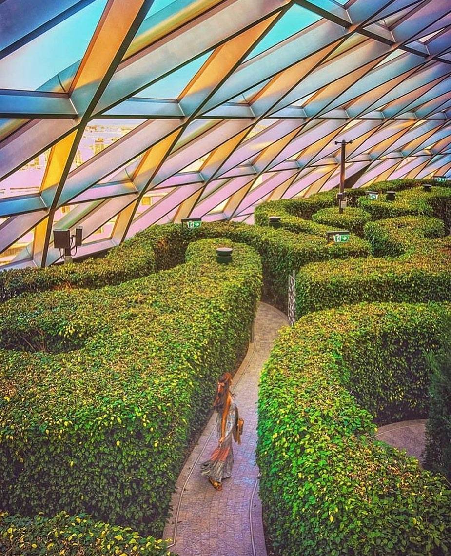 好玩又好拍📷新加坡5大迷宮⚡樹木、鏡子組成,兜兜轉轉其樂無窮,燒腦到爆炸💥