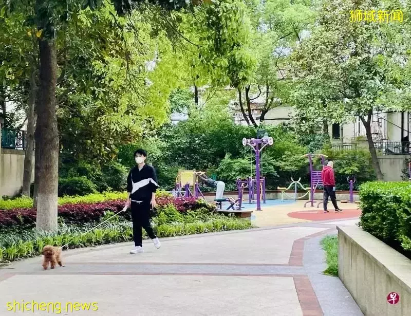 新加坡人的上海封城周記：終于能吃上漢堡薯條了！心情如過年