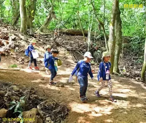 叢林探險、生存挑戰！新加坡戶外學校的6大假期營超級寶藏