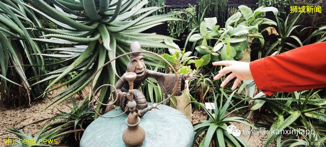 新加坡親子好去處！濱海灣～花穹～雲霧森林～空中步道半日遊