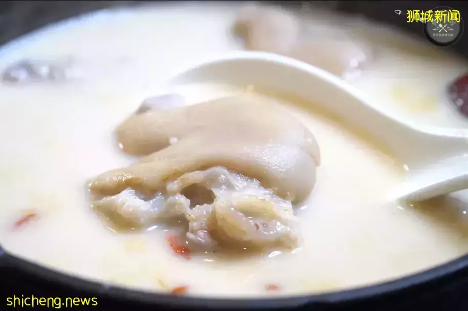 晚上睡不著,夜宵時間到!夜貓子們集合啦