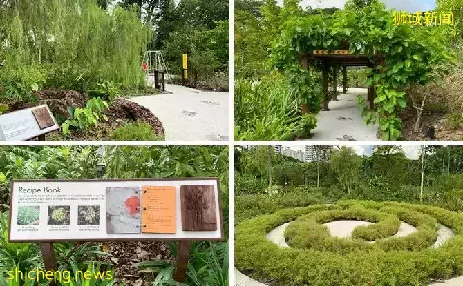 免費！新加坡最適合娃的公園，蝴蝶迷宮、沙灘小灣、瀑布、滑梯秋千