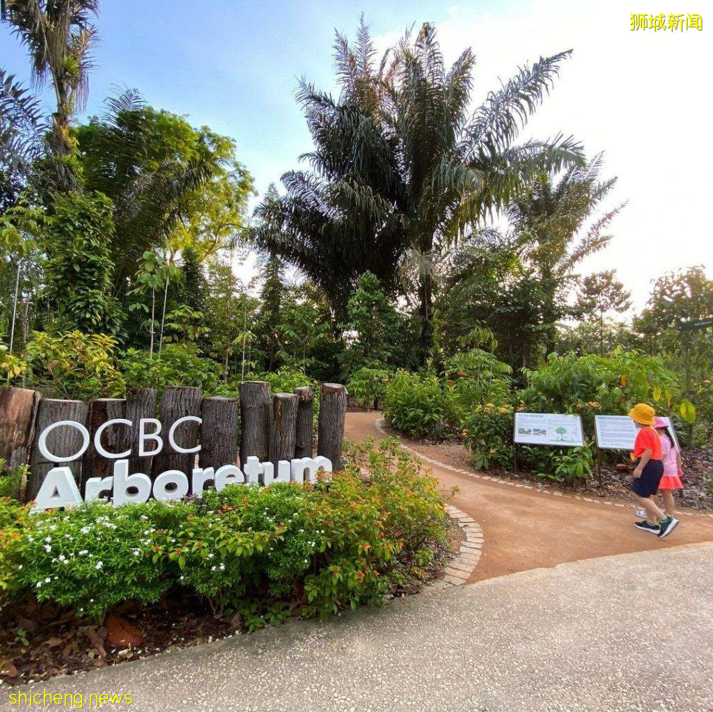 植物園Gallop Extension攻略🌳山脊小徑+戶外遊樂設施+森林探秘館+藝術畫廊、走進大自然