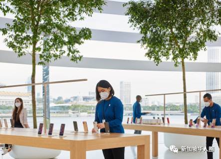 新加坡水上的苹果专卖店!9月10日正式开幕,需提前预约参观