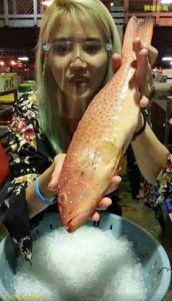 女子求职碰壁  与男友巴刹卖鱼 