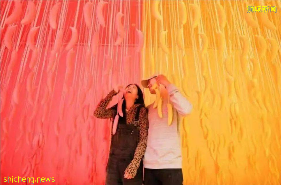 新加坡10個新活動！打卡冰淇淋博物館、總統府、到海底練瑜伽