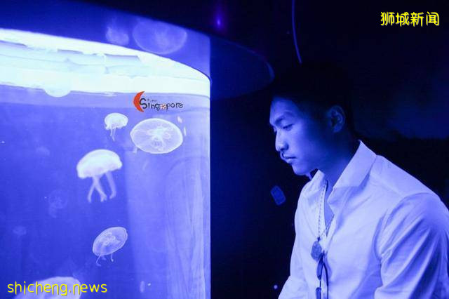 全球最大海洋館到底有多好玩!