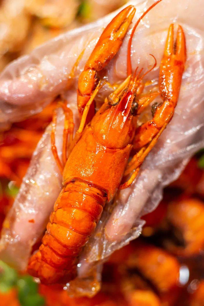 新年的第一頓海鮮盛宴來了！全場海鮮大咖低至58折