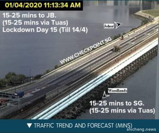 受不了行动管制令 大象“越堤”到新加坡