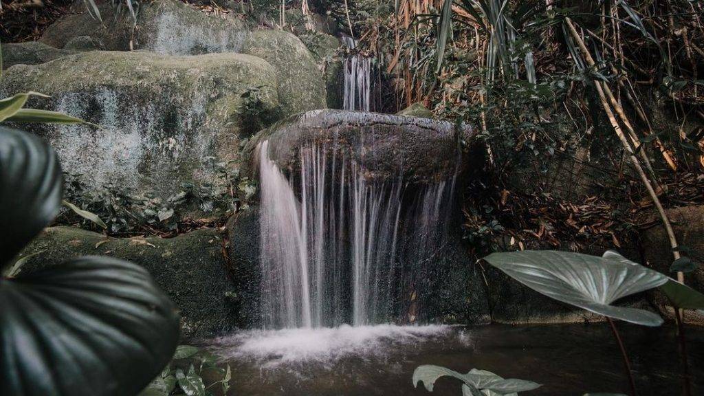 新開辟徒步路線！聖淘沙後花園“Imbiah Trail”沿路亮點🍃 回歸自然，尋覓古迹