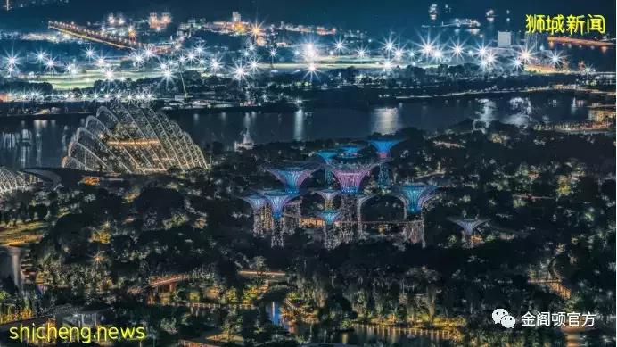 新加坡公司注冊（下）新加坡公司注冊的類型