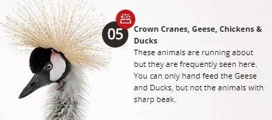 經營20年的新加坡“動物度假村”宣布結業，明年1月10日爲最後營業日期