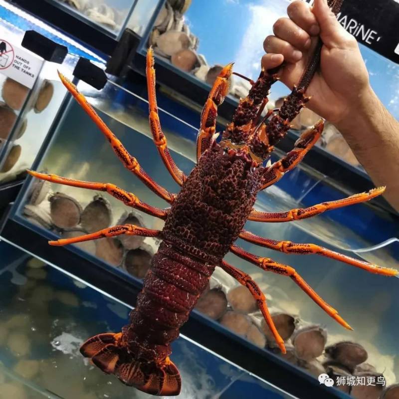 新加坡海鲜市场大盘点