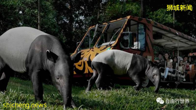 疫情過後,去新加坡不可錯過的16個體驗!