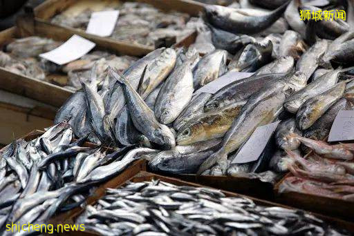 越南女白天賣魚晚上陪酒？新加坡兩大感染群，魚港和KTV確定有聯系