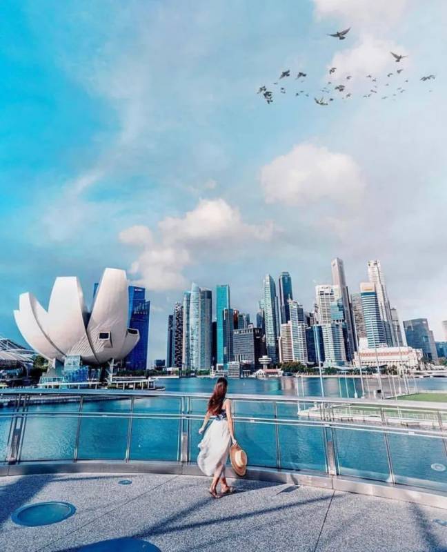 初來獅城的你，這幾個熱門“新加坡現象”不能不知道