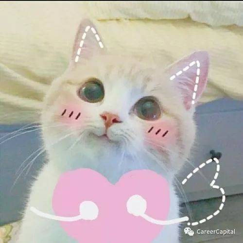 新加坡薪酬最高的CEO