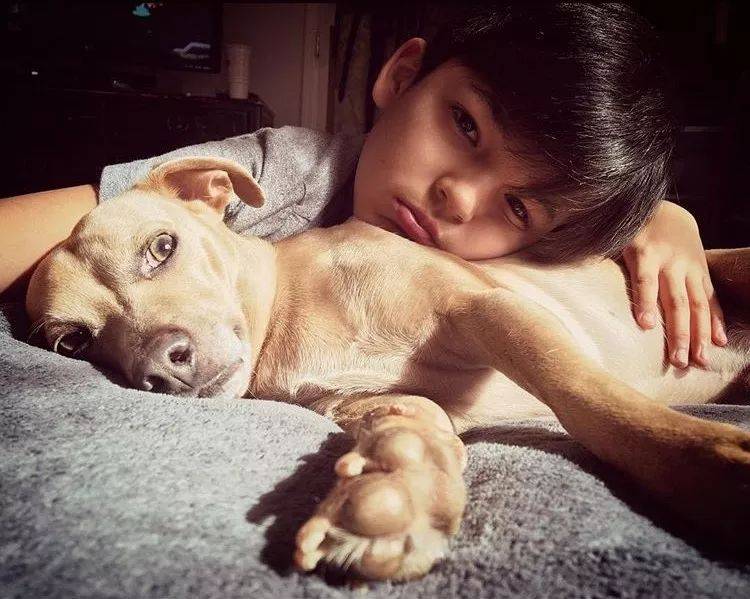 想给自己主子添点“硬货”看这里，狮城宠物用品精品店推荐来啦