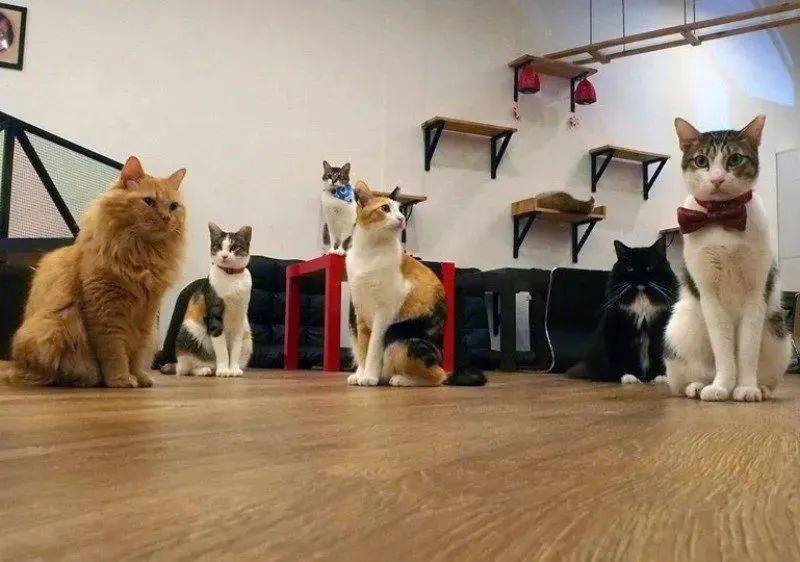 新加坡31個孩子超愛的假期活動+遊玩攻略，1分不花也能玩