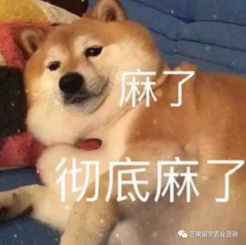 我們正經曆史上最貴的新加坡！水電費、房租、擁車證、物價等全線上漲