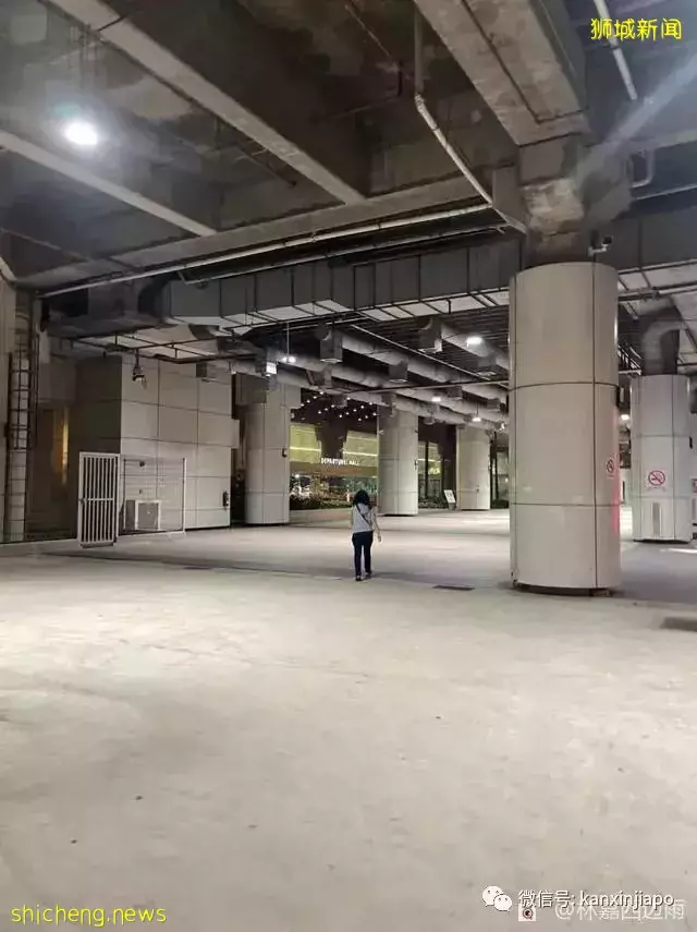 经济快捷!新加坡 吉隆坡豪华巴士了解一下