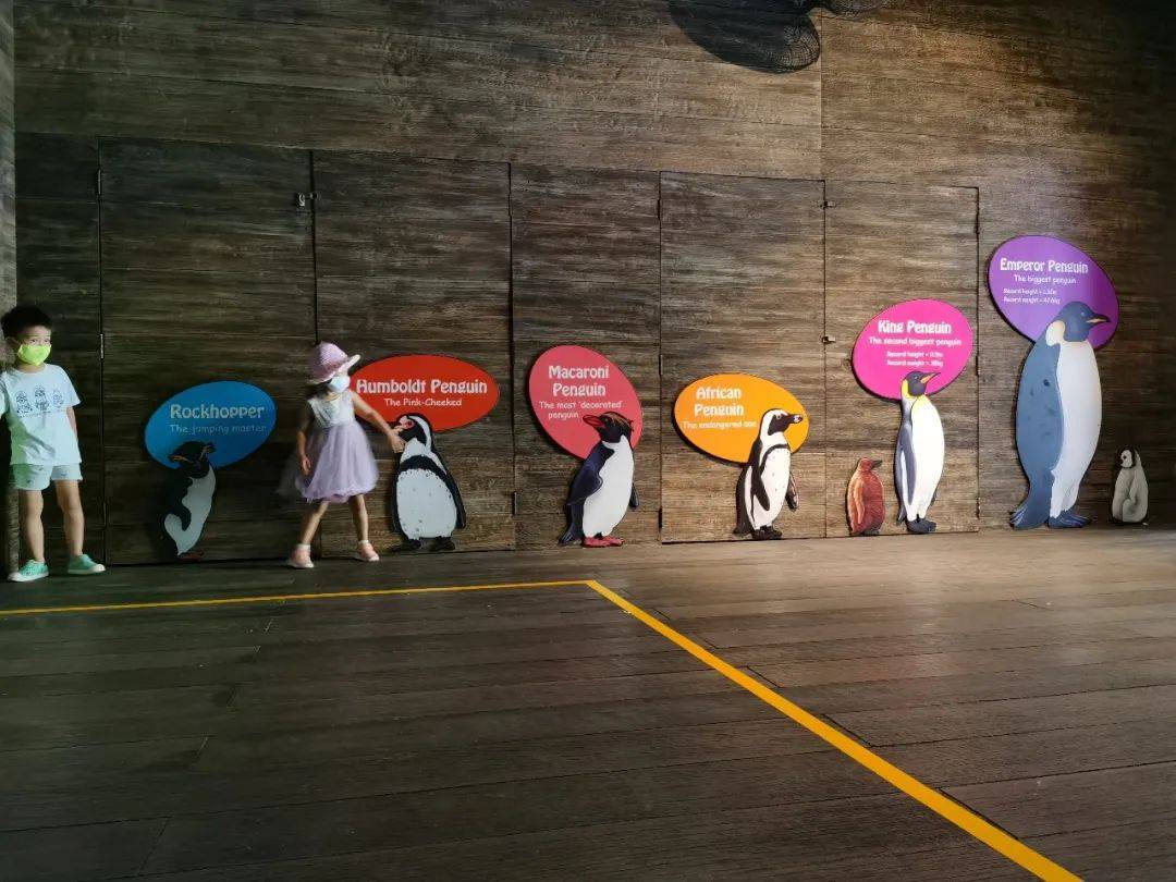 免費送票!帶倆娃嗨翻亞洲最大飛禽園,400多種5000多只鳥,一路驚喜不斷