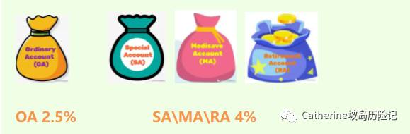 每个月都交的CPF,你了解吗