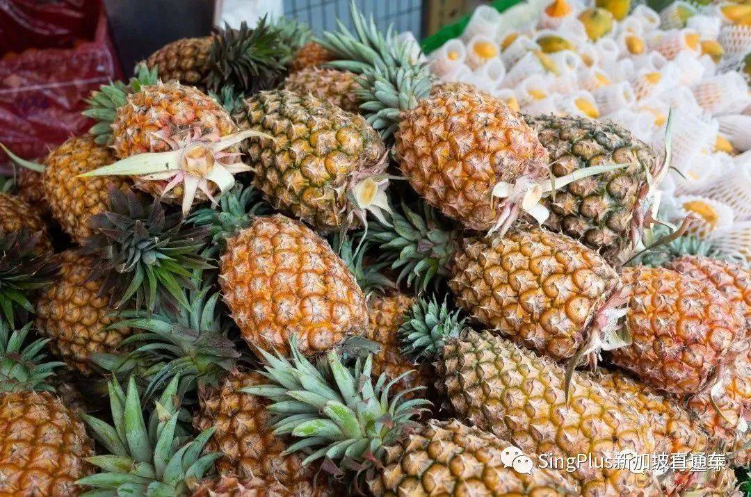 台湾凤梨被大陆禁止！新加坡台商出手进口25万吨！有救了