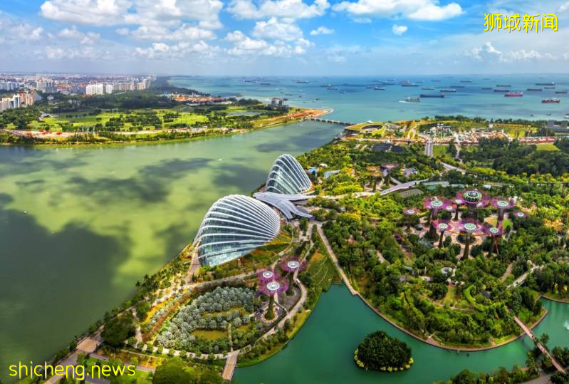 新加坡爲何能成爲全球最長壽的國家之一?只因掌握了4個長壽秘訣