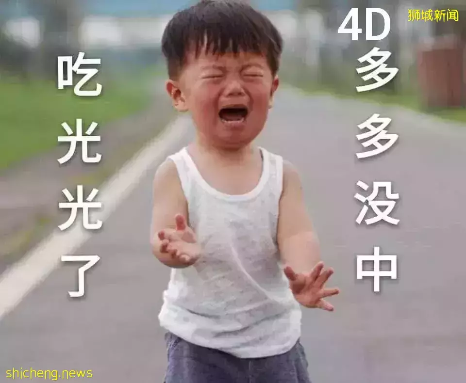 8人平分1900萬新幣！新加坡全民瘋狂買彩票、鋪滿整個房間！他連中頭獎+二獎