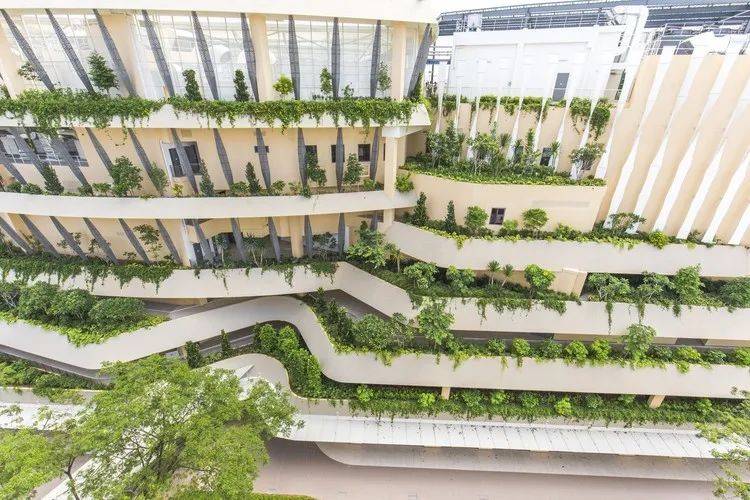 原來新加坡的這些建築真的會呼吸