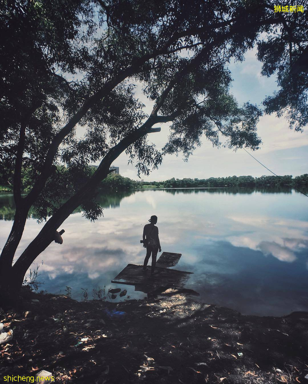 免費不用錢😍新加坡礦湖打卡✨風景如畫、美如仙境，到戶外走一圈後神清氣爽