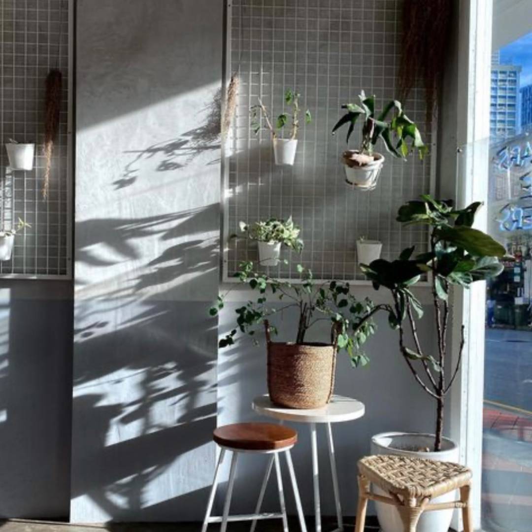 陰天的獅城，喚醒我的不是鬧鍾，而是"Egg Benedict"