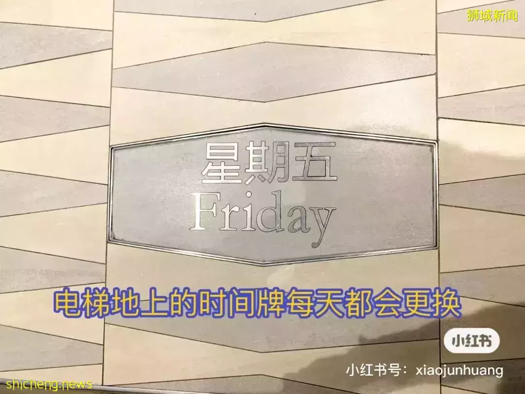 羡慕!一家四口5天4夜坐豪华邮轮免费,攀岩、冲浪、蹦极、跳伞,数不尽的美食和表演