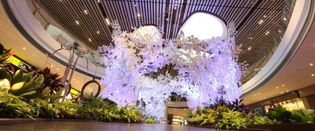 樟宜機場 “花園裏的機場”都有哪些花園呢