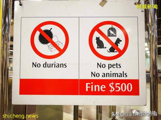 不穿衣服被邻居看到,应该罚款么?爱罚款的新加坡规定你知道多少