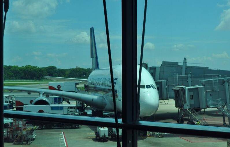 新加坡宝宝们憋坏了,“航空泡泡”首两日航班已售罄